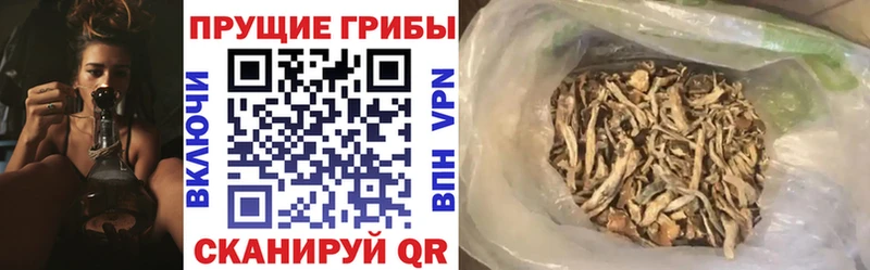 Псилоцибиновые грибы ЛСД  omg рабочий сайт  Владимир 